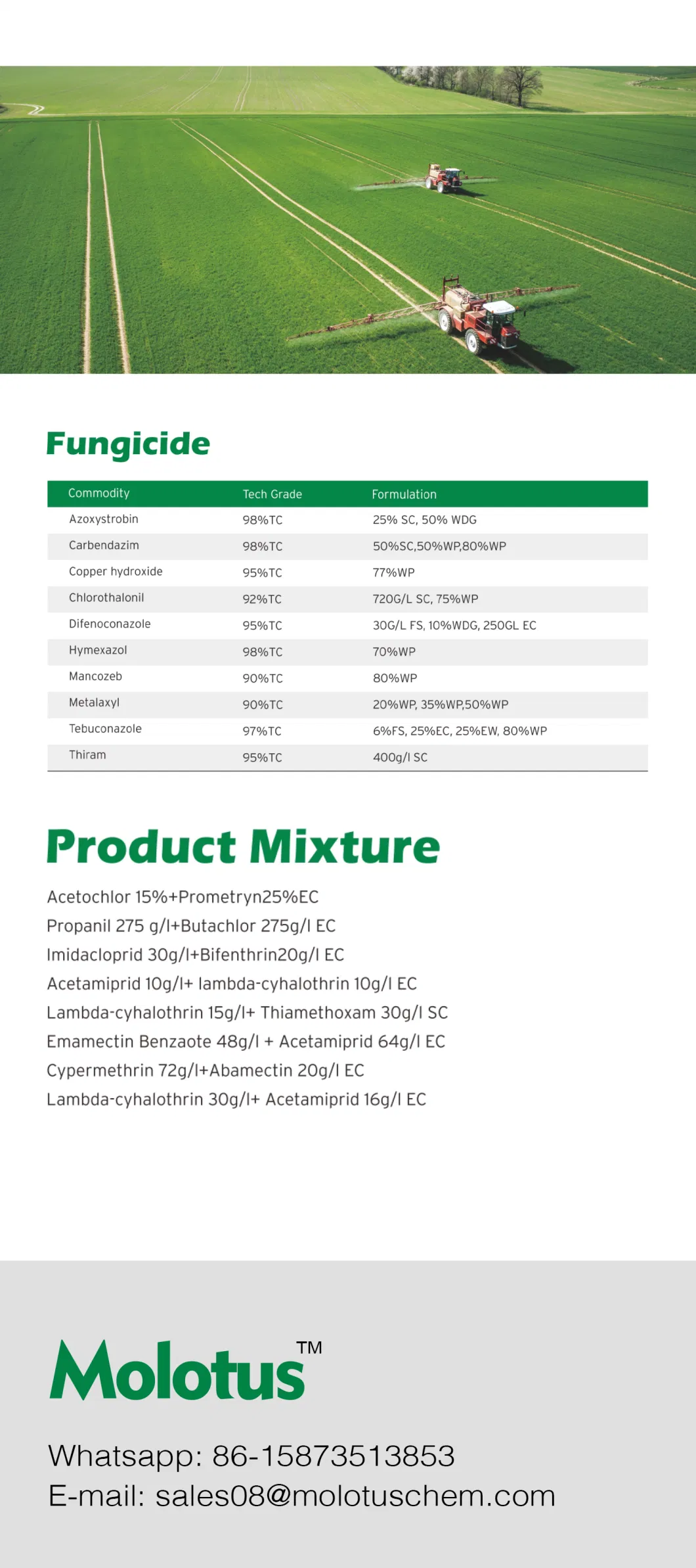 Wholesale Fungicide Carbendazim 50%Wp, 500g/1 Sc, 10% Ec Agriculture Bactericide